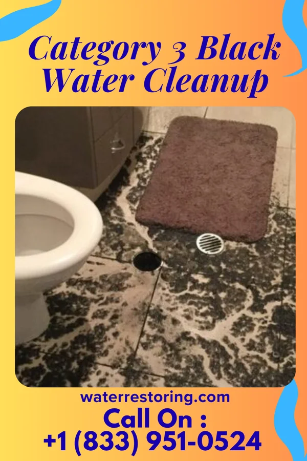 Category 3 Black Water Cleanup in Honaker, VA
