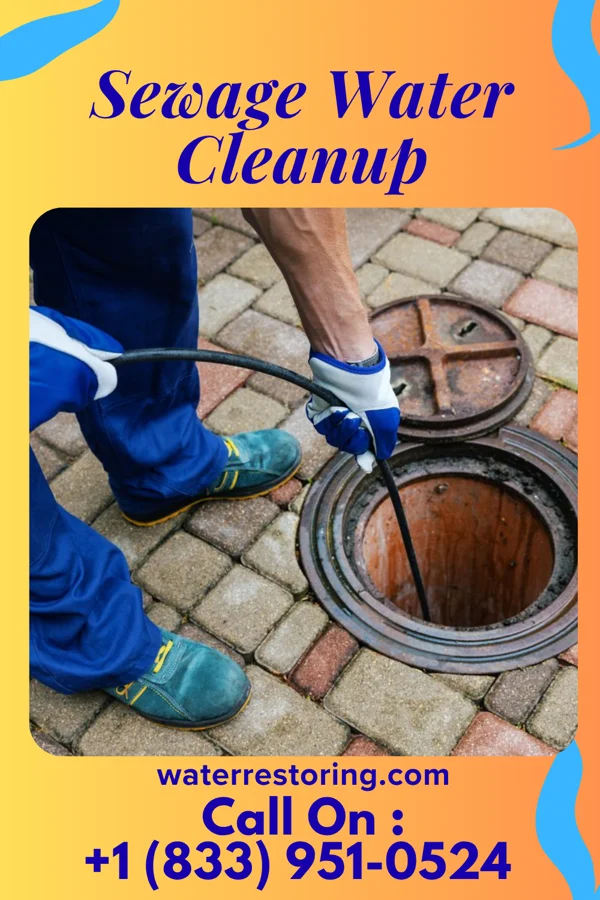 Sewage Water Cleanup in Honaker, VA